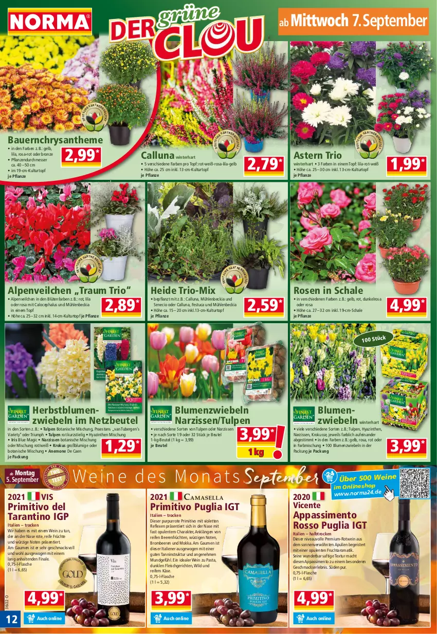 Aktueller Prospekt Norma - Norma - von 05.09 bis 12.09.2022 - strona 12 - produkty: Alpenveilchen, auer, Bau, Bauer, beere, beeren, beutel, blume, blumen, Blüte, brombeere, brombeeren, eis, ente, flasche, fleisch, frucht, früchte, früchten, Käse, kulturtopf, mac, messer, Narzissen, nivea, pasta, pflanze, pflanzen, primitivo, reifen, rosen, rotwein, saft, Schal, Schale, sim, Ti, topf, triumph, tuc, wein, weine, Wild, zwiebel, zwiebeln