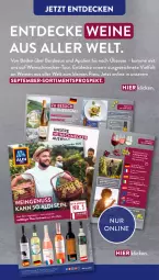 Gazetka promocyjna AldiSud - IN ZWEI WOCHEN - Gazetka - ważna od 24.09 do 24.09.2022 - strona 18 - produkty: aldi, antipasti, asti, auer, auto, Bad, bier, Biere, burgunder, decke, eimer, eis, elle, erde, fisch, flasche, fleisch, früchte, Geflügel, grauer burgunder, Käse, leine, leitz, linsen, lion, mac, meeresfrüchte, Meister, Müller, Müller-Thurgau, nuss, pasta, pril, reis, riesling, rioja, salat, schwein, spinat, Ti, vita, wein, weine, Weißwein, weißwein-