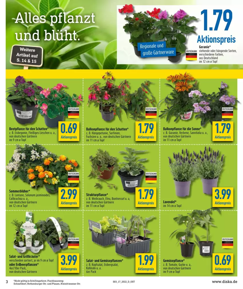 Aktueller Prospekt Diska - Prospekte - von 25.04 bis 30.04.2022 - strona 3 - produkty: aktionspreis, burger, eis, elle, fisch, geranie, reis, sessel, tee, Ti