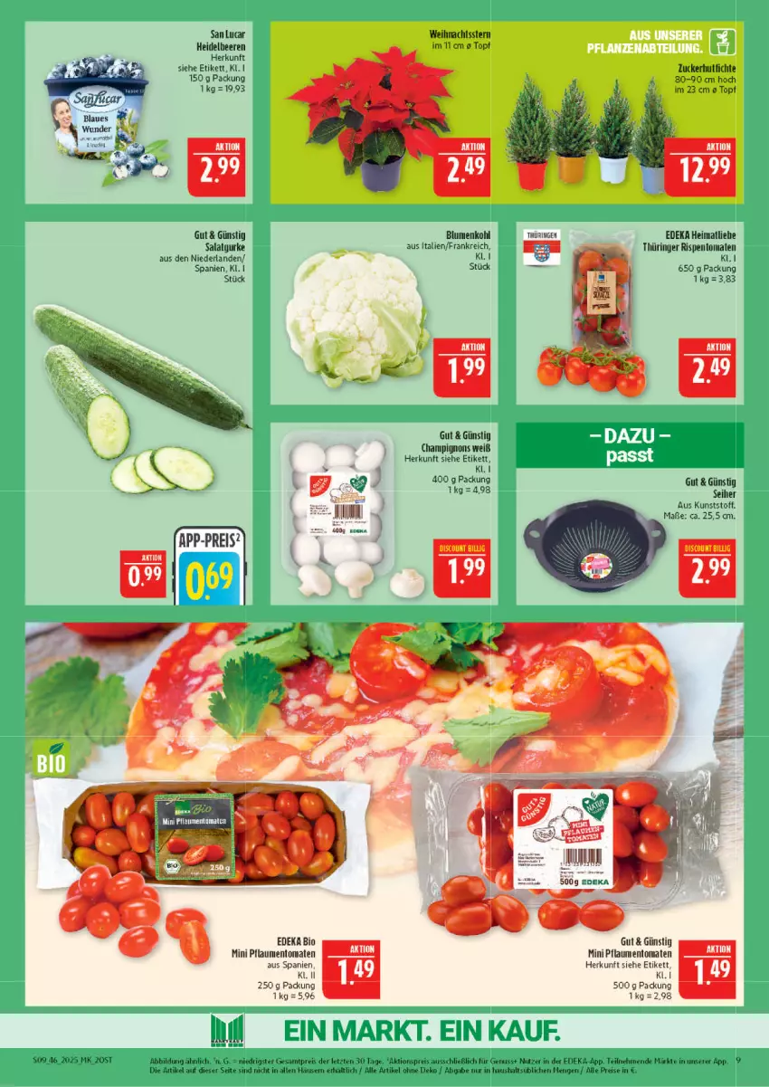 Aktueller Prospekt Marktkauf - Prospekt - von 09.11 bis 15.11.2025 - strona 9 - produkty: aktionspreis, beere, beeren, bio, blume, blumen, blumenkohl, champignon, champignons, deka, discount, edeka bio, eis, gurke, heidelbeere, heidelbeeren, nexa, nuss, pflaume, pflaumen, reis, ring, salat, Salatgurke, Ti, tomate, tomaten, topf, Weihnachtsstern, ZTE, zucker