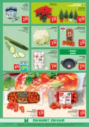 Gazetka promocyjna Marktkauf - Prospekt - Gazetka - ważna od 15.11 do 15.11.2025 - strona 9 - produkty: aktionspreis, beere, beeren, bio, blume, blumen, blumenkohl, champignon, champignons, deka, discount, edeka bio, eis, gurke, heidelbeere, heidelbeeren, nexa, nuss, pflaume, pflaumen, reis, ring, salat, Salatgurke, Ti, tomate, tomaten, topf, Weihnachtsstern, ZTE, zucker