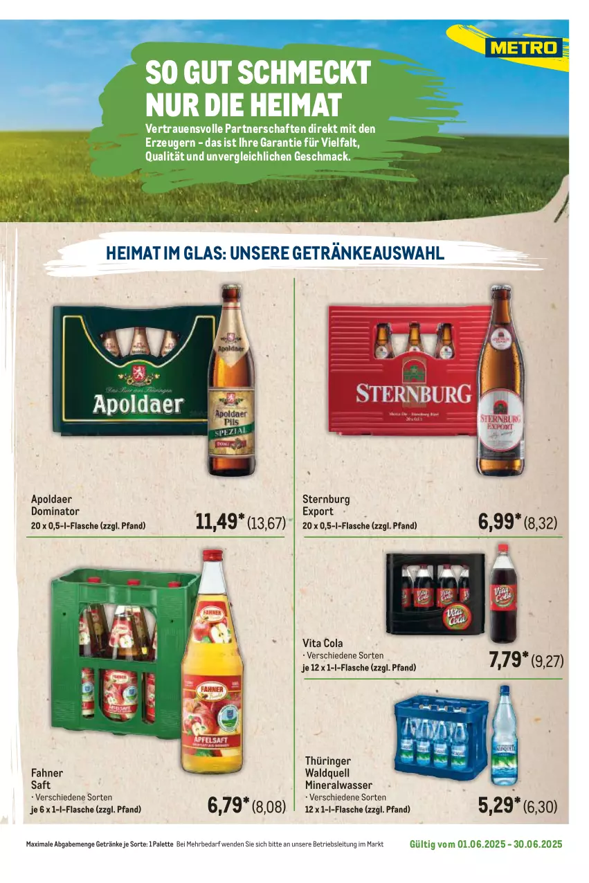 Aktueller Prospekt Metro - Regionaler Flyer - von 01.06 bis 30.06.2025 - strona 117 - produkty: Alwa, cola, flasche, getränk, getränke, mac, mineralwasser, Palette, ring, saft, Sternburg, Ti, vita, Vita C, wasser