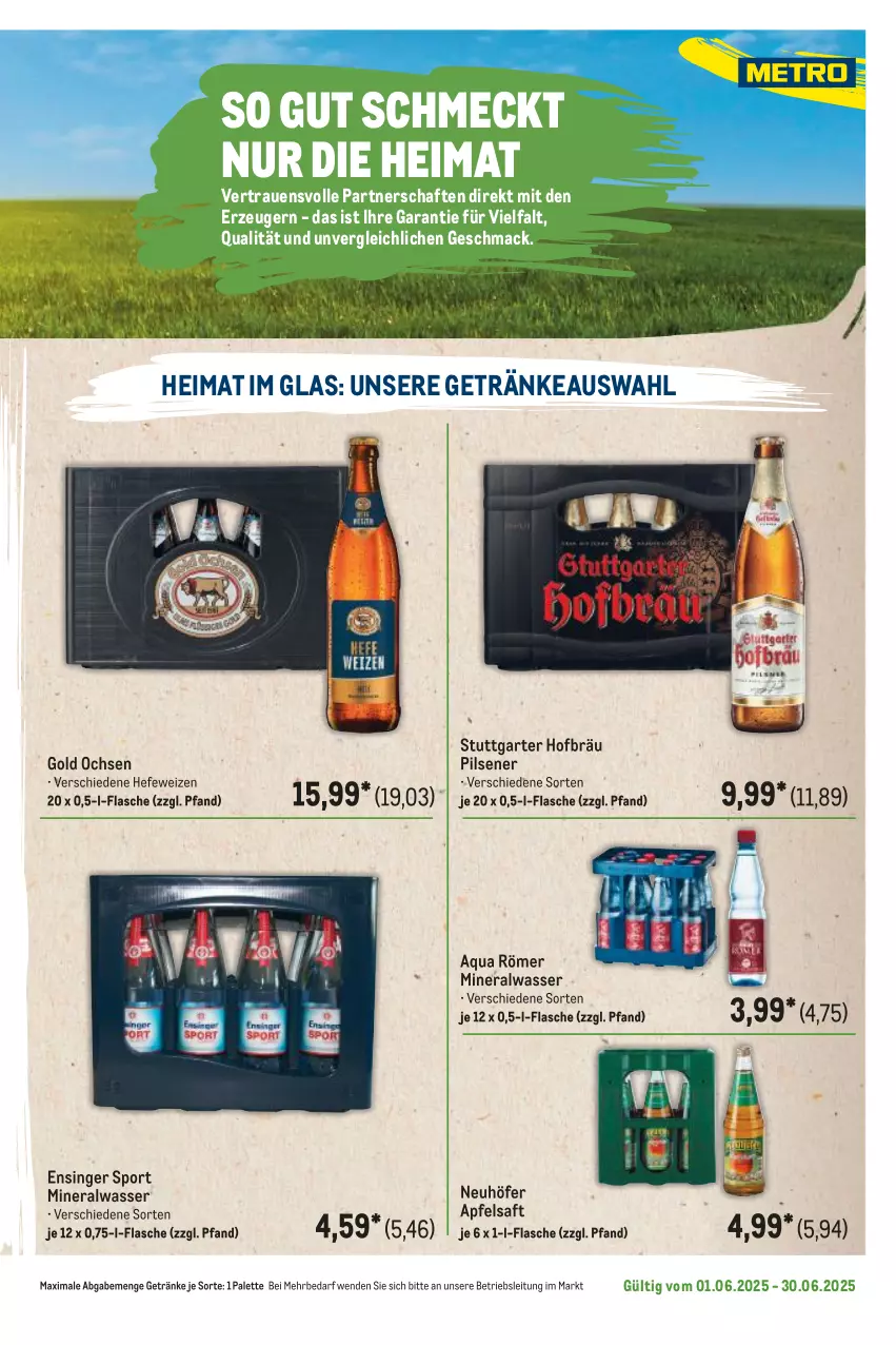 Aktueller Prospekt Metro - Regionaler Flyer - von 01.06 bis 30.06.2025 - strona 125 - produkty: Alwa, apfel, apfelsaft, aqua, flasche, getränk, getränke, Hefe, hefeweizen, mac, mineralwasser, Palette, pils, pilsener, saft, Sport, Ti, wasser