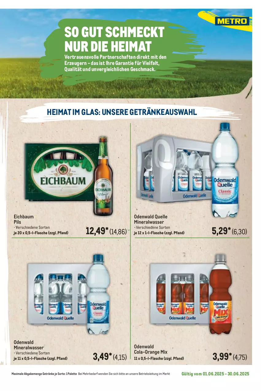 Aktueller Prospekt Metro - Regionaler Flyer - von 01.06 bis 30.06.2025 - strona 63 - produkty: Alwa, Bau, cola, elle, flasche, getränk, getränke, mac, mineralwasser, odenwald, orange, Palette, pils, Ti, wasser