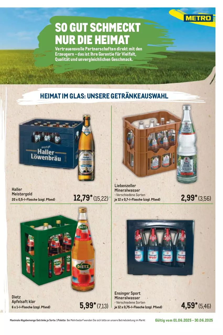Aktueller Prospekt Metro - Regionaler Flyer - von 01.06 bis 30.06.2025 - strona 89 - produkty: Alwa, apfel, apfelsaft, eis, elle, flasche, getränk, getränke, mac, Meister, mineralwasser, Palette, saft, Sport, Ti, wasser