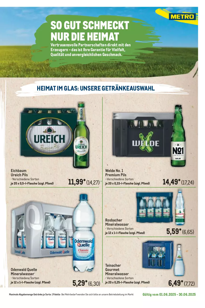 Aktueller Prospekt Metro - Regionaler Flyer - von 01.06 bis 30.06.2025 - strona 95 - produkty: Alwa, Bau, elle, flasche, getränk, getränke, mac, mineralwasser, odenwald, Palette, pils, premium pils, Ti, wasser
