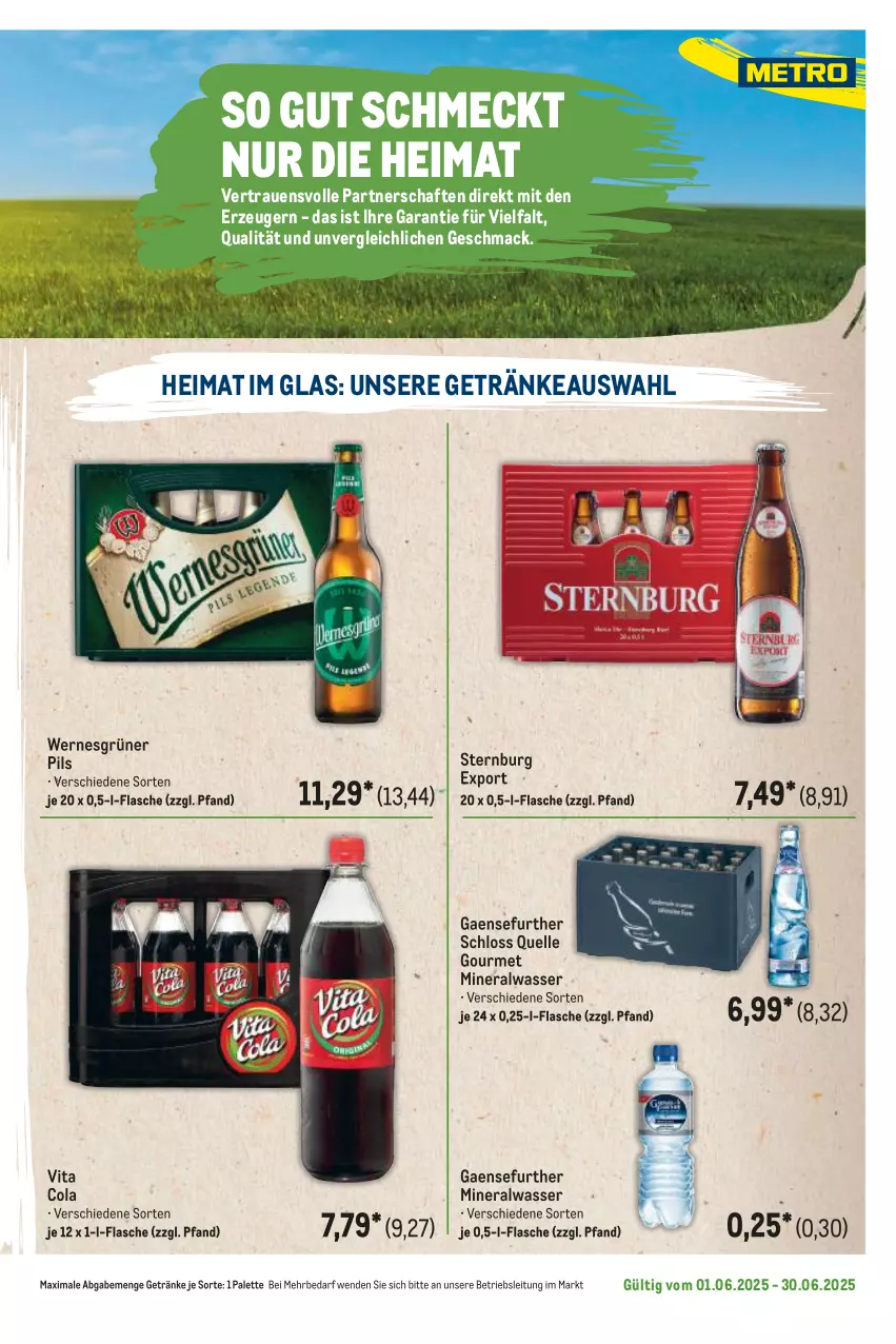 Aktueller Prospekt Metro - Regionaler Flyer - von 01.06 bis 30.06.2025 - strona 97 - produkty: Alwa, cola, elle, flasche, getränk, getränke, mac, mineralwasser, Palette, pils, Sternburg, Ti, vita, Vita C, wasser