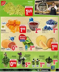 Gazetka promocyjna Edeka - Prospekte - Gazetka - ważna od 03.01 do 03.01.2027 - strona 7 - produkty: apfel, ente, glücksklee, grana, grapefruit, limette, limetten, mandarine, mandarinen, melone, Mett, metten, orchidee, phalaenopsis, Rana, sanfucar, Schornsteinfeger, Sukkulente, Ti, topf, würfel