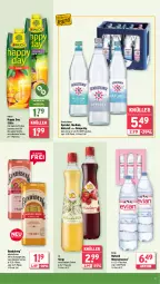 Gazetka promocyjna Wasgau - Gazetka - ważna od 17.05 do 17.05.2025 - strona 19 - produkty: alkohol, Alwa, Bundaberg, eis, erfrischungsgetränk, flasche, gerolsteine, gerolsteiner, getränk, Happy Day, mineralwasser, mw-flasche, natur, natura, Rauch, reis, rel, säfte, sirup, Sprudel, steiner, Ti, wasser, Yo