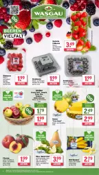 Gazetka promocyjna Wasgau - Gazetka - ważna od 17.05 do 17.05.2025 - strona 8 - produkty: ananas, angebot, banane, bananen, beere, beeren, brombeere, brombeeren, eis, erdbeere, erdbeeren, fleisch, frucht, fruchtfleisch, heidelbeere, heidelbeeren, himbeer, himbeere, himbeeren, pfirsich, pfirsiche, reis, Schal, Schale, tafeläpfel, Ti