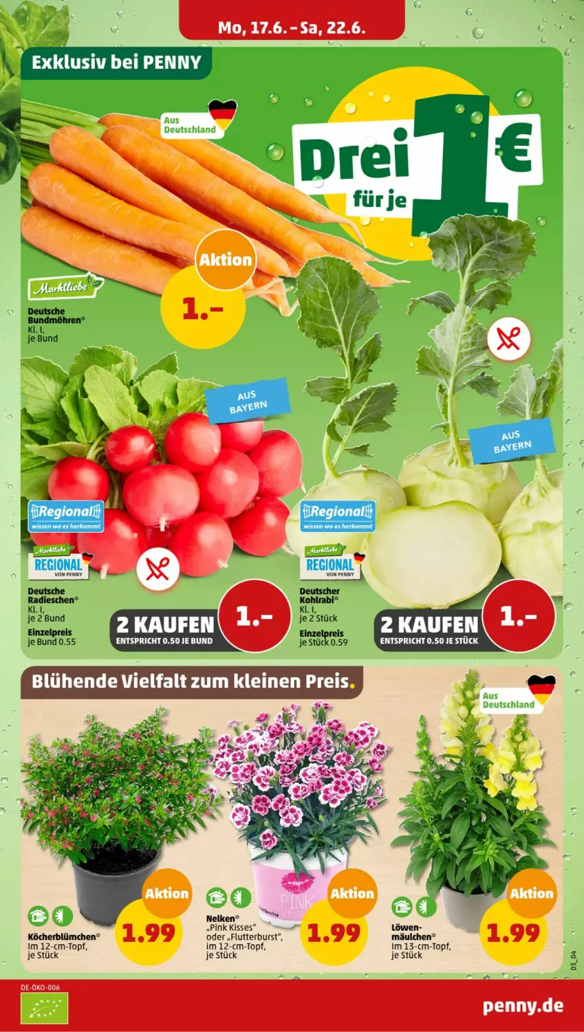 Aktueller Prospekt Penny - Prospekte - von 17.06 bis 22.06.2024 - strona 3 - produkty: kohlrabi, radieschen, topf