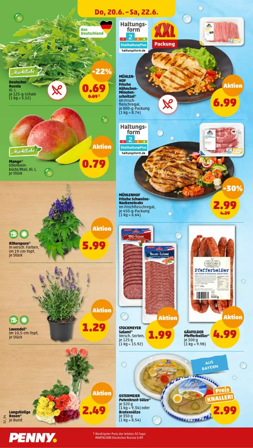 Aktueller Prospekt Penny - Prospekte - von 17.06 bis 22.06.2024 - strona 32 - produkty: braten, cola, eier, eis, fleisch, Frische Hähnchen, lavendel, Nackensteak, nackensteaks, pfeffer, Pfefferbeißer, pute, putenbrust, Rauch, regal, reis, ritter, rucola, salami, Schal, Schale, schnitzel, schwein, schweine, steak, steaks, stockmeyer, topf, wein, weine, ZTE