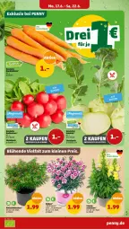 Gazetka promocyjna Penny - Prospekte - Gazetka - ważna od 22.06 do 22.06.2024 - strona 3 - produkty: kohlrabi, radieschen, topf