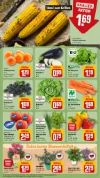 Gazetka promocyjna Rewe - Prospekte - Gazetka - ważna od 29.07 do 29.07.2023 - strona 7 - produkty: Alpenveilchen, aprikose, aprikosen, aubergine, beere, beeren, bio, blattspinat, blume, blumen, brombeere, brombeeren, Cif, eis, Elan, gin, grill, ideal zum grillen, kopfsalat, kräuter, mais, möhren, paprika, paprika mix, petersilie, pflanze, rote tafeläpfel, salat, Schal, Schale, schnittlauch, speisemöhren, spinat, tafeläpfel, Ti, topf, zucker, zuckermais