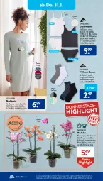 Gazetka promocyjna AldiSud - IN ZWEI WOCHEN - Gazetka - ważna od 13.01 do 13.01.2023 - strona 14 - produkty: alle artikel ohne dekoration, Bau, baumwolle, Blüte, dekoration, dell, eis, elle, gin, kleid, Kleidung, kulturtopf, Mode, orchidee, phalaenopsis, reis, Ria, shirt, socken, Ti, topf, Unterwäsche, up2fashion, wolle, ZTE