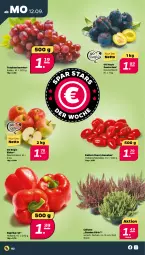 Gazetka promocyjna Netto - Woche 37 - Gazetka - ważna od 17.09 do 17.09.2022 - strona 2 - produkty: cherrytomaten, paprika, paprika rot, Ti, tomate, tomaten, topf, trauben