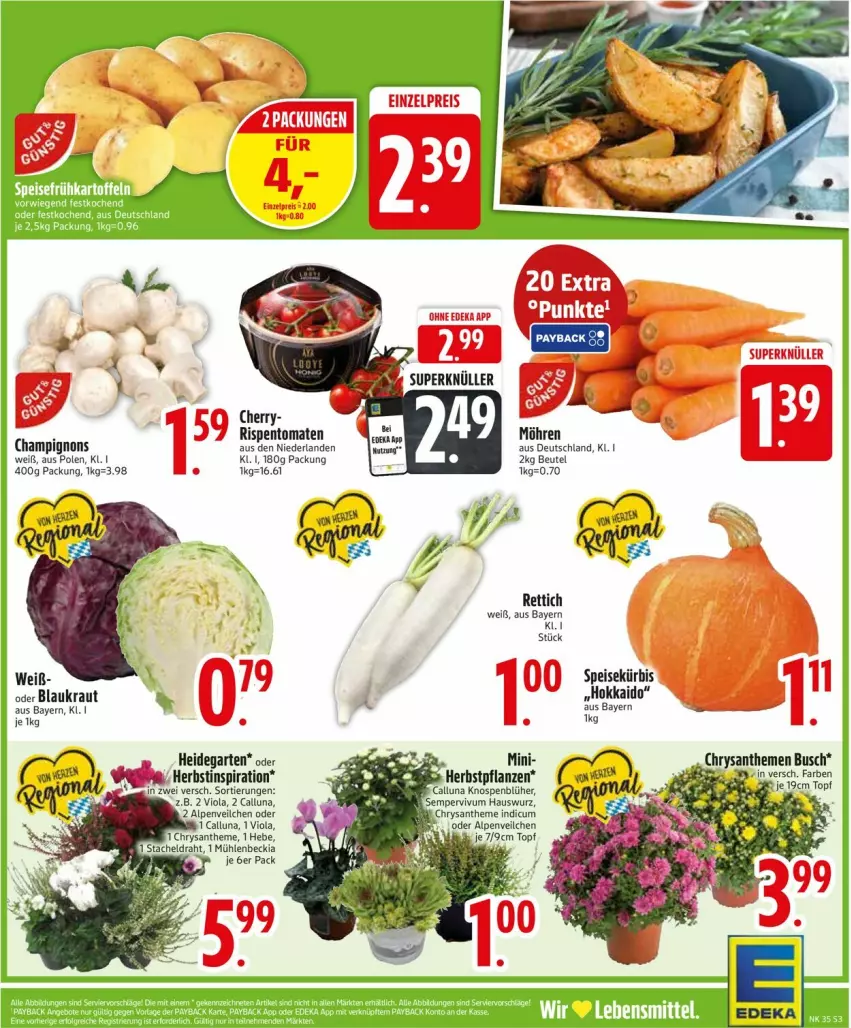 Aktueller Prospekt Edeka - Prospekte - von 25.08 bis 30.08.2025 - strona 5 - produkty: Alpenveilchen, beutel, champignon, champignons, deka, eis, Garten, Hauswurz, pflanze, pflanzen, reis, Rettich, rispentomaten, Sempervivum, Ti, tomate, tomaten, topf