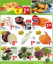 Gazetka promocyjna Edeka - Prospekte - Gazetka - ważna od 30.08 do 30.08.2025 - strona 5 - produkty: Alpenveilchen, beutel, champignon, champignons, deka, eis, Garten, Hauswurz, pflanze, pflanzen, reis, Rettich, rispentomaten, Sempervivum, Ti, tomate, tomaten, topf