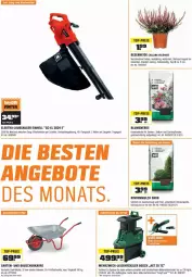 Gazetka promocyjna Obi - Prospekte - Gazetka - ważna od 31.10 do 31.10.2023 - strona 2 - produkty: akku, angebot, angebote, aust, Bau, bett, blume, blumen, blumenerde, Blüte, bosch, eier, einhell, eis, Elektro, elle, erde, Garten, Gartenpflanze, Gartenschere, kraft, Kraut, Laubsauger, LG, pflanze, pflanzen, Rauch, Ria, rind, rindenmulch, sac, Schal, Schere, Ti, topf, weck