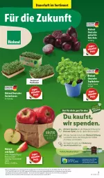 Gazetka promocyjna Lidl - Aktionsprospekt - Gazetka - ważna od 21.05 do 21.05.2022 - strona 3 - produkty: asti, auer, Bau, bio, bioland, discount, eis, elle, Garten, Gartenkresse, kräuter, lebensmittel, monitor, obst, Obst und Gemüse, pril, reis, rote bete, Schal, Schale, Ti, topf, Topfkräuter, und gemüse