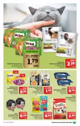 Gazetka promocyjna Marktkauf - Prospekt - Gazetka - ważna od 08.05 do 08.05.2021 - strona 47 - produkty: dreamies, felix, frolic, hundenahrung, katzennahrung, kitekat, Maus, Perfect Fit, purina, Schal, Schale, sheba, snack, snacks, Soße, Ti, whiskas