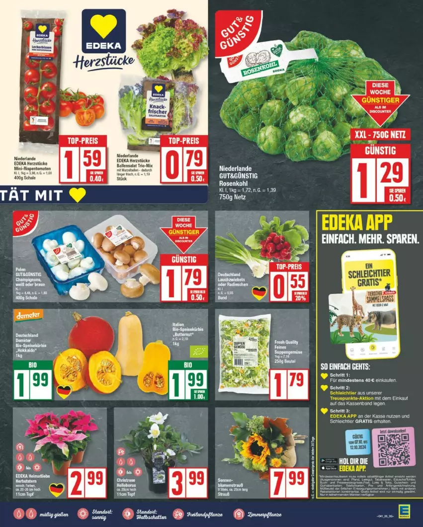 Aktueller Prospekt Edeka - Prospekte - von 07.10 bis 12.10.2024 - strona 3 - produkty: ball, eis, mini-rispentomaten, reis, rispentomaten, rosen, Rosenkohl, salat, Schal, Schale, Ti, tomate, tomaten, top-preis