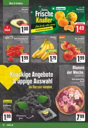 Gazetka promocyjna E Center - Angebote der Woche - Gazetka - ważna od 16.09 do 16.09.2023 - strona 12 - produkty: aktionspreis, avocado, avocados, banane, bananen, beere, beeren, beutel, bio, deka, eis, johannisbeere, Johannisbeeren, mandarine, mandarinen, merl, reis, Rote Johannisbeeren, Schal, Schale, tafeläpfel, Ti