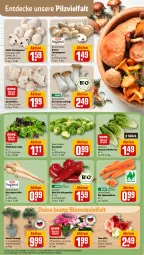 Gazetka promocyjna Rewe - Prospekte - Gazetka - ważna od 11.11 do 11.11.2023 - strona 7 - produkty: aust, Austern, bio, blume, blumen, braun, champignon, champignons, decke, eis, gin, kräuter, Kräuterseitlinge, möhren, papier, paprika, petersilie, pilze, rosen, Rosenkohl, salat, salatherzen, Schal, Schale, speisemöhren, Spitzpaprika, Ti, topf, übertopf, wasser, Wild