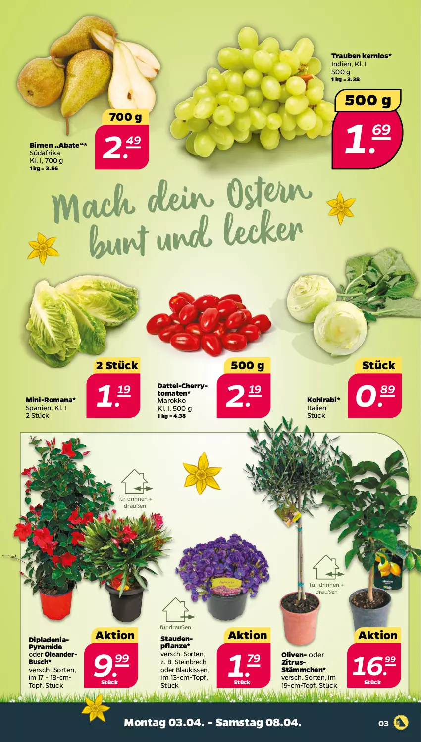 Aktueller Prospekt Netto - Woche 14 - von 03.04 bis 08.04.2023 - strona 3 - produkty: Birnen, dip, dipladenia, kissen, kohlrabi, mac, olive, oliven, pflanze, stauden, Ti, tomate, tomaten, topf, trauben