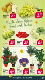 Gazetka promocyjna Netto - Woche 14 - Gazetka - ważna od 08.04 do 08.04.2023 - strona 3 - produkty: Birnen, dip, dipladenia, kissen, kohlrabi, mac, olive, oliven, pflanze, stauden, Ti, tomate, tomaten, topf, trauben