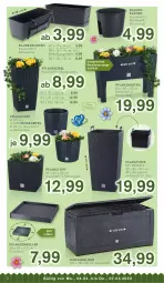 Gazetka promocyjna Kodi - Prospekte - Gazetka - ważna od 07.04 do 07.04.2022 - strona 2 - produkty: blume, blumen, Hängeampel, pflanze, pflanzen, Pflanztopf, Roller, shake, Ti, topf