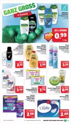 Gazetka promocyjna Marktkauf - Prospekt - Gazetka - ważna od 27.01 do 27.01.2024 - strona 29 - produkty: Alwa, Always, Bebe, creme, deo, deospray, eis, flasche, garnier, haarspray, Kamill, mundwasser, nivea, reis, rexona, roll-on, Roller, schaumfestiger, shampoo, slip, spülung, Tasche, taschen, taschentücher, Ti, tücher, Wahre Schätze, wasser, ZTE