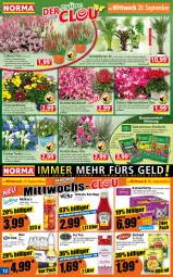 Gazetka promocyjna Norma - Norma - Gazetka - ważna od 25.09 do 25.09.2023 - strona 12 - produkty: Alpenveilchen, bier, blume, blumen, Blüte, Cap, DJI, eintopf, erbsen, Ficus, fisch, flasche, Geflügel, gelee, gin, green tea, hühner, ice tea, Kaiser, katzenfutter, ketchup, krone, kulturtopf, LG, linsen, linsen-eintopf, monster, Monstera, nudel, nudel-topf, orange, pflanze, pflanzen, raspberry, Ria, sauce, Thea, Ti, tomato ketchup, topf, übertopf, Vegeta, wein, zwiebel, zwiebeln