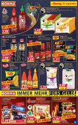 Gazetka promocyjna Norma - Norma - Gazetka - ważna od 25.09 do 25.09.2023 - strona 5 - produkty: ananas, anzünder, beutel, braten, chili, chips, eis, elle, ente, flasche, fleisch, grill, grillanzünder, Grillkohle, Holz, hühner, Kamin, Kaminofen, kraft, Kristallsalz, mac, mit gemüse, natur, ndk, nerf, nudel, nudeln, Ofen, rind, rindfleisch, salz, sauce, snack, snacks, soja, sojasauce, Spezi, Sriracha, Ti, wok