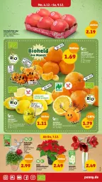 Gazetka promocyjna Penny - Prospekte - Gazetka - ważna od 09.12 do 09.12.2023 - strona 5 - produkty: bio, LG, Pink Lady, Schal, Schale, topf, Vase, Weihnachtsstern