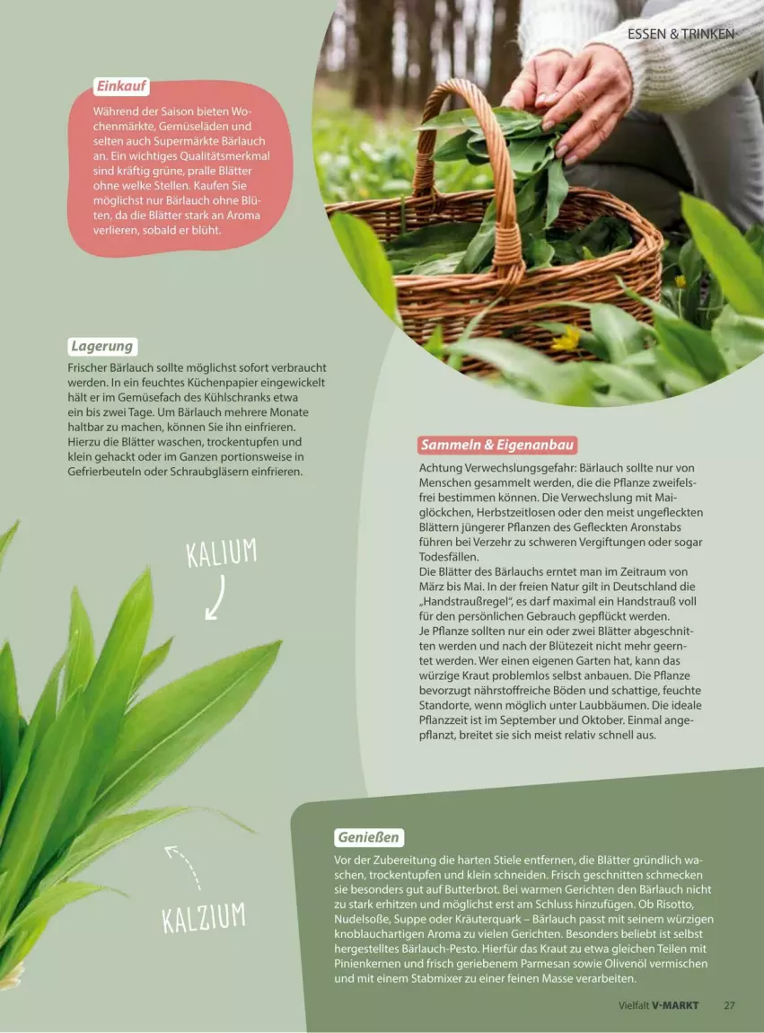 Aktueller Prospekt Vmarkt - Prospekte - von 18.03 bis 01.04.2026 - strona 27 - produkty: Bau, beutel, Blüte, Brei, brot, butter, eis, erde, Garten, gefrierbeutel, Gläser, knoblauch, Kraut, kräuter, küche, Küchen, kühlschrank, mac, Mixer, natur, nudel, oder kräuter, olive, oliven, olivenöl, papier, pesto, pflanze, pflanzen, pinienkerne, quark, Rauch, rel, risotto, rwe, schnitten, Schrank, Soße, stabmixer, suppe, Ti, WICK