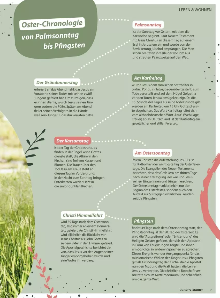 Aktueller Prospekt Vmarkt - Prospekte - von 18.03 bis 01.04.2026 - strona 7 - produkty: auer, blume, blumen, Brei, eier, eis, ente, erde, gin, kerze, kleid, kleider, kraft, LG, ring, Ti, uhr