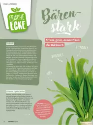 Gazetka promocyjna Vmarkt - Prospekte - Gazetka - ważna od 01.04 do 01.04.2026 - strona 26 - produkty: eis, elle, erde, Germ, gewürz, gin, knoblauch, kraft, Kraut, magnesium, orange, pflanze, pflanzen, reis, sac, Ti, vita, Vitamin C, Vitamine