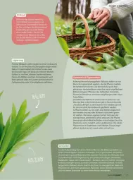 Gazetka promocyjna Vmarkt - Prospekte - Gazetka - ważna od 01.04 do 01.04.2026 - strona 27 - produkty: Bau, beutel, Blüte, Brei, brot, butter, eis, erde, Garten, gefrierbeutel, Gläser, knoblauch, Kraut, kräuter, küche, Küchen, kühlschrank, mac, Mixer, natur, nudel, oder kräuter, olive, oliven, olivenöl, papier, pesto, pflanze, pflanzen, pinienkerne, quark, Rauch, rel, risotto, rwe, schnitten, Schrank, Soße, stabmixer, suppe, Ti, WICK