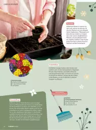 Gazetka promocyjna Vmarkt - Prospekte - Gazetka - ważna od 01.04 do 01.04.2026 - strona 40 - produkty: Bank, basilikum, bohne, bohnen, Brei, eis, fenster, fensterbank, gardena, Garten, gin, leine, mac, paprika, pflanze, pflanzen, Primeln, radieschen, ring, salat, spinat, Ti, Töpfchen