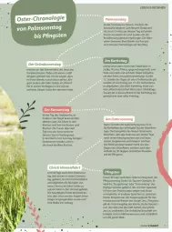 Gazetka promocyjna Vmarkt - Prospekte - Gazetka - ważna od 01.04 do 01.04.2026 - strona 7 - produkty: auer, blume, blumen, Brei, eier, eis, ente, erde, gin, kerze, kleid, kleider, kraft, LG, ring, Ti, uhr