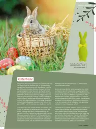 Gazetka promocyjna Vmarkt - Prospekte - Gazetka - ważna od 01.04 do 01.04.2026 - strona 9 - produkty: auer, auto, Bau, Bauer, beko, brie, eier, erde, frucht, Germ, gin, Heu, lamm, ring, rum, spielzeug, Ti, Tiere, tisch, Wild