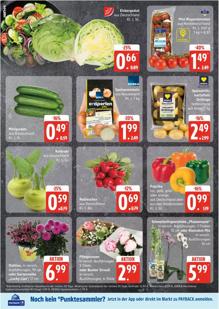 Aktueller Prospekt Edeka - Prospekte - von 09.06 bis 14.06.2025 - strona 4 - produkty: dahlie, deka, eis, eisbergsalat, Elan, Frühkartoffeln, Garten, gartennelke, kartoffel, kartoffeln, kohlrabi, Mett, orange, orchidee, paprika, payback, Pfingstrosen, phalaenopsis, reis, rispentomaten, rosen, salat, Schmetterling, schmetterlingsorchidee, speisefrühkartoffeln, Speisezwiebeln, tesa, Ti, tomate, tomaten, ZTE, zwiebel, zwiebeln