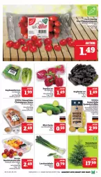 Gazetka promocyjna Marktkauf - Prospekt - Gazetka - ważna od 09.12 do 09.12.2023 - strona 9 - produkty: braun, champignon, champignons, champignons braun, deka, eis, gurke, kartoffel, kartoffeln, kopfsalat, Lauchzwiebel, lauchzwiebeln, paprika, paprika rot, pflaume, pflaumen, reis, sac, salat, salatherzen, speisekartoffeln, Ti, tomate, tomaten, ZTE, zwiebel, zwiebeln