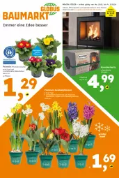 Gazetka promocyjna  - Gazetka - ważna od 27.02 do 27.02.2026 - strona 1 - produkty: Blüte, braun, briketts, Kamin, Narzissen, Primeln, Ti, topf, trauben, zwiebel