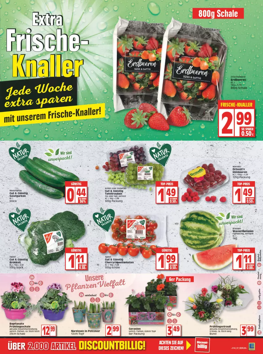 Aktueller Prospekt Edeka - Angebote der Woche - von 04.04 bis 09.04.2022 - strona 9 - produkty: beere, beeren, brokkoli, driscoll's, eis, elle, erdbeere, erdbeeren, geranie, geranien, gurke, gurken, himbeer, himbeere, himbeeren, melone, melonen, Narzissen, reis, rispentomaten, salat, Salatgurke, salatgurken, Schal, Schale, tafeltrauben, Ti, tomate, tomaten, top-preis, topf, trauben, wasser, wassermelone, wassermelonen, ZTE