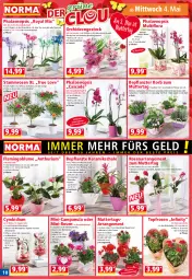 Gazetka promocyjna Norma - Norma - Gazetka - ważna od 09.05 do 09.05.2022 - strona 10 - produkty: Alpenveilchen, blume, Blüte, calibrachoa, Campanula, Cognac, dekoration, eis, Kalanchoe, keks, korb, Kugel, kulturtopf, messer, orange, orchidee, orchideen, Organza, perlen, pflanze, pflanzen, phalaenopsis, Ria, rosen, Schal, Schale, Ti, topf, tuc, übertopf, Vase, wasser, ZTE