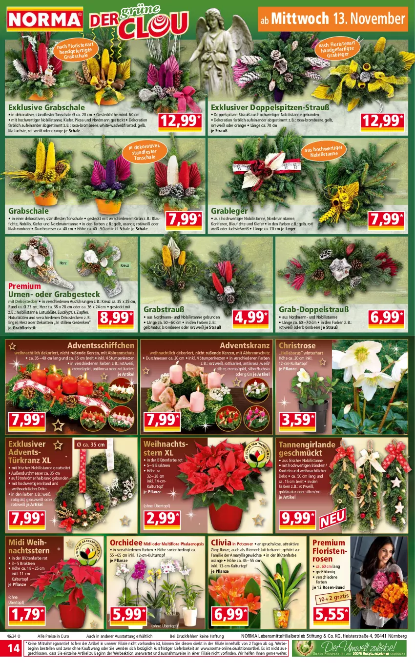 Aktueller Prospekt Norma - Norma - von 11.11 bis 18.11.2024 - strona 14 - produkty: Adventskranz, Bebe, beere, Blüte, Brei, brombeere, creme, dekoration, eis, elle, Engel, gin, Girlande, Grabschale, kerze, Konifere, Kranz, kulturtopf, lebensmittel, messer, natur, orange, orchidee, pflanze, phalaenopsis, reis, rosen, Schal, Schale, Schiffchen, tee, Ti, topf, Türkranz, übertopf, usb, Weihnachtsstern