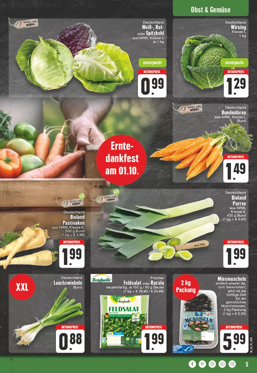 Aktueller Prospekt E Center - Angebote der Woche - von 25.09 bis 30.09.2023 - strona 5 - produkty: aktionspreis, asti, beutel, bonduelle, cola, eis, elle, feldsalat, obst, reis, rucola, salat, spitzkohl, Ti, Wirsing