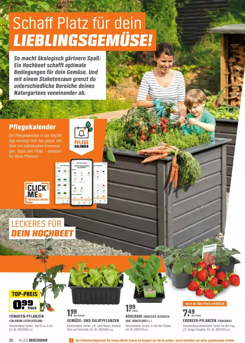 Aktueller Prospekt Obi - Prospekte - von 22.03 bis 10.04.2022 - strona 22 - produkty: elle, Garten, gemuse, kohlrabi, mac, natur, pflanze, pflanzen, Ria, salat, Schal, Schale, staketenzaun, Ti, tomate, tomaten